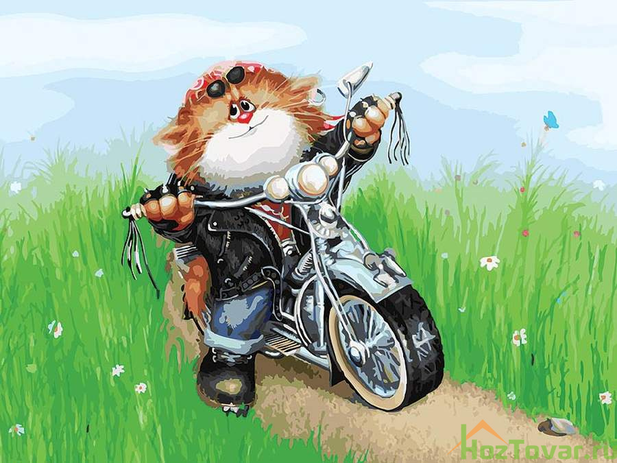 Набор для рисования "Кот-мотоциклист"