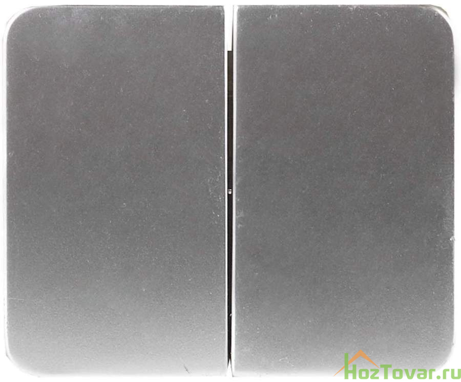 Выключатель СВЕТОЗАР "ГАММА" двухклавишный, без вставки и рамки, цвет светло-серый металлик, 10A/~250B