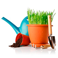 Аксессуары для комнатных растений Аксессуары для комнатных растений