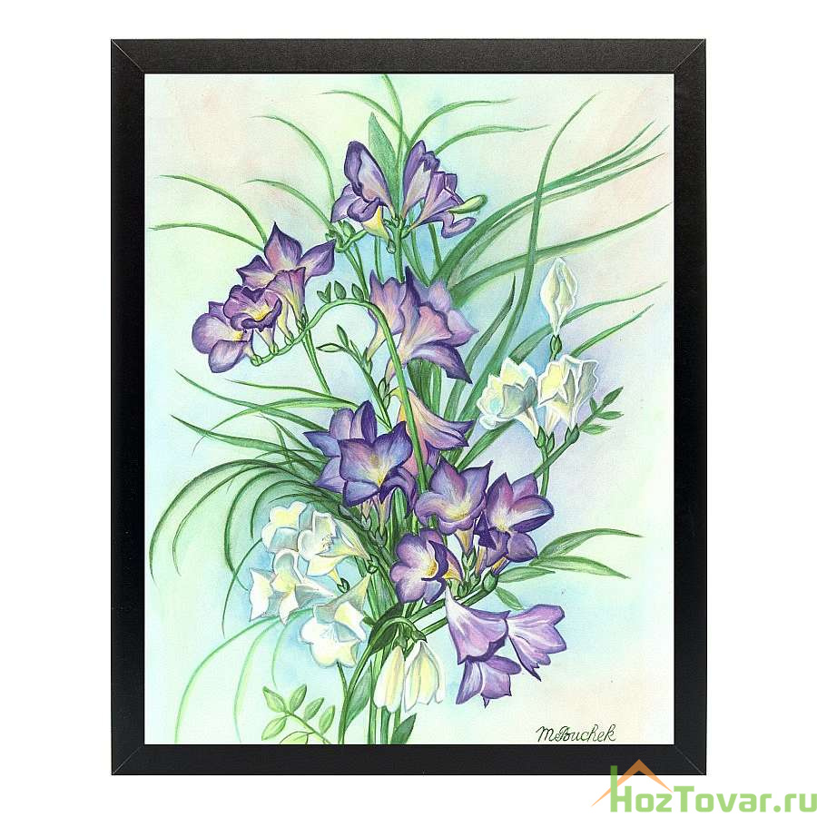 Картина "фрезии фиолетовые акварель" 40х50 см (матовая бумага)