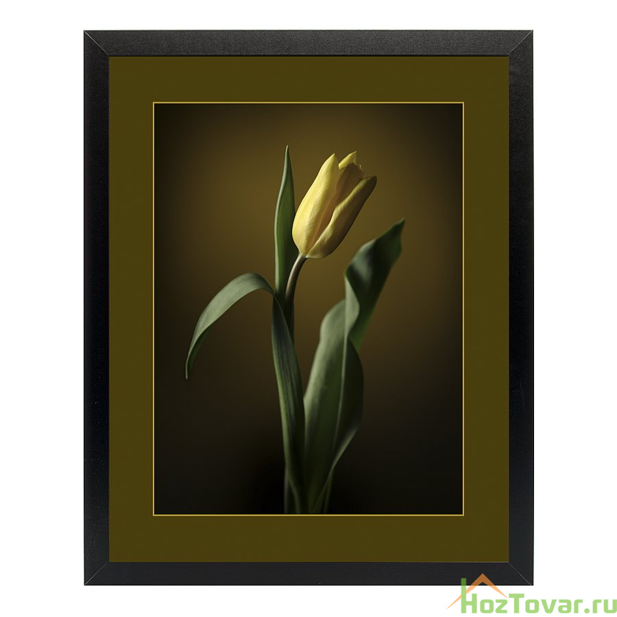 Картина "тюльпан" 40х50 см (матовая бумага)