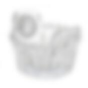 Икорница 9.5х9см