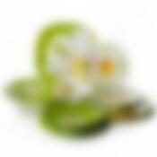 Столовый набор на 6 персон Luminarc "Paquerette", 19 предметов