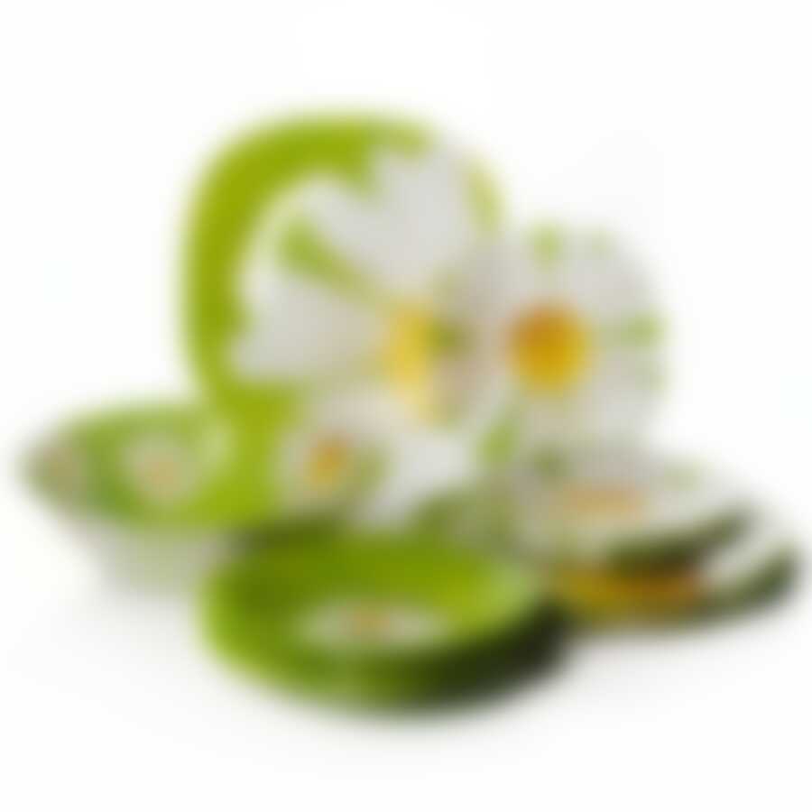 Столовый набор на 6 персон Luminarc "Paquerette", 19 предметов