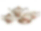 Сервиз чайный на 6 персон Lefard Корейская Роза,15 предметов