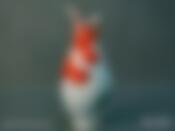 Ваза "ЗОЛОТЫЕ РЫБКИ" высота= 27 см.под.упак.