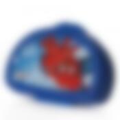 Бутербродница "Человек-Паук"