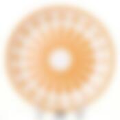 Тарелка большая Валенсия d=190 мм (оранж.-бел.)