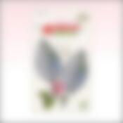 Н-р из 2-х крючков "Листок" бол