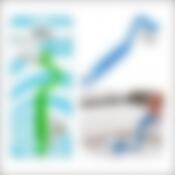 Щетка для унитаза 2цв. NEW 21 см.