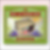 Чехол д/вещей 40смХ60смХ26см 3цв.