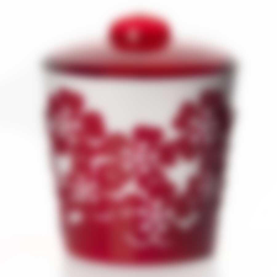 Банка Камелия 1 л (красный)