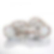 Столовый сервиз 6 персон Czech Gold Hands "Шиповник", 26 предметов