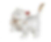 Фигурка "КОШКА" высота 8 см