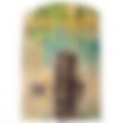 Доска сувенирная Лучшей хозяйке 250*400