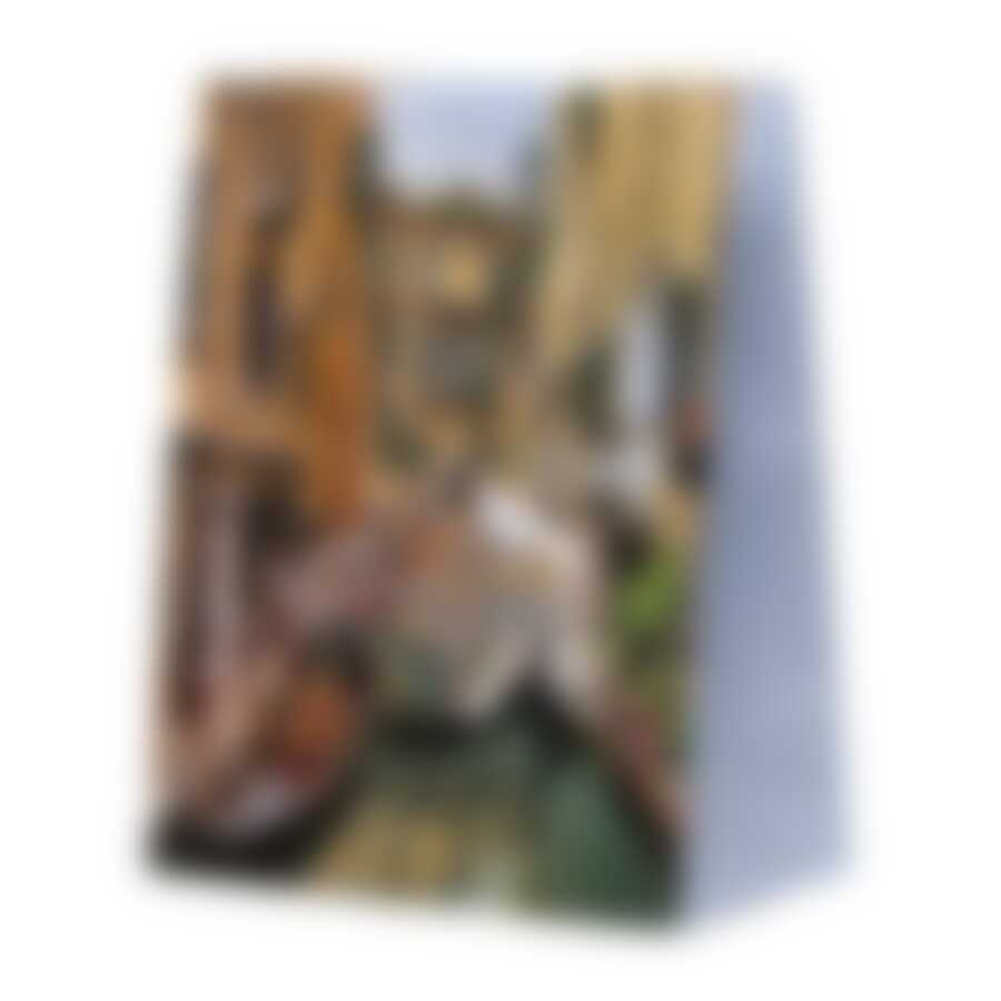 ПАКЕТ подароч. бумаж. 22,9*17,8*9,8 см в ассорти.