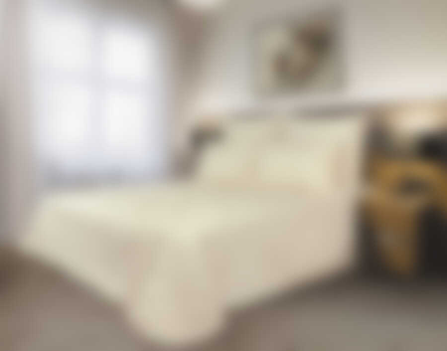 Полутороспальное одеяло GREEN LINE Хлопок классическое (195200)