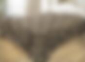 Покрывало стёганное 240/260 Волшебная ночь хлопок Барокко (190594)