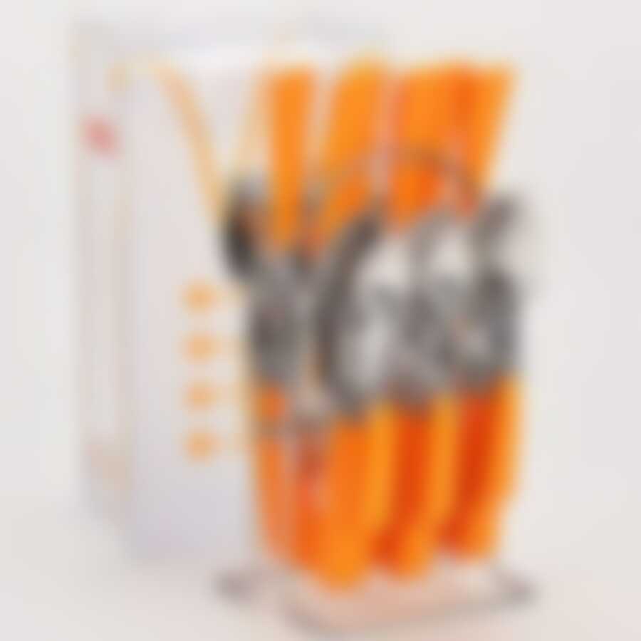 Набор столовых приборов 25пр ОРАНЖЕВЫЙ MB(х12) 20687-2