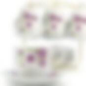 Чайный набор на 6 персон Loraine Цветы, 200 мл