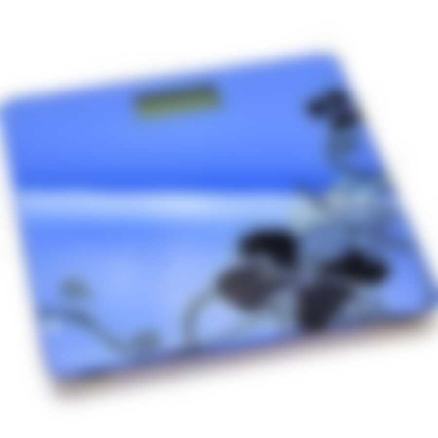 Весы напольные электронные 150кг MB (х6) 20908