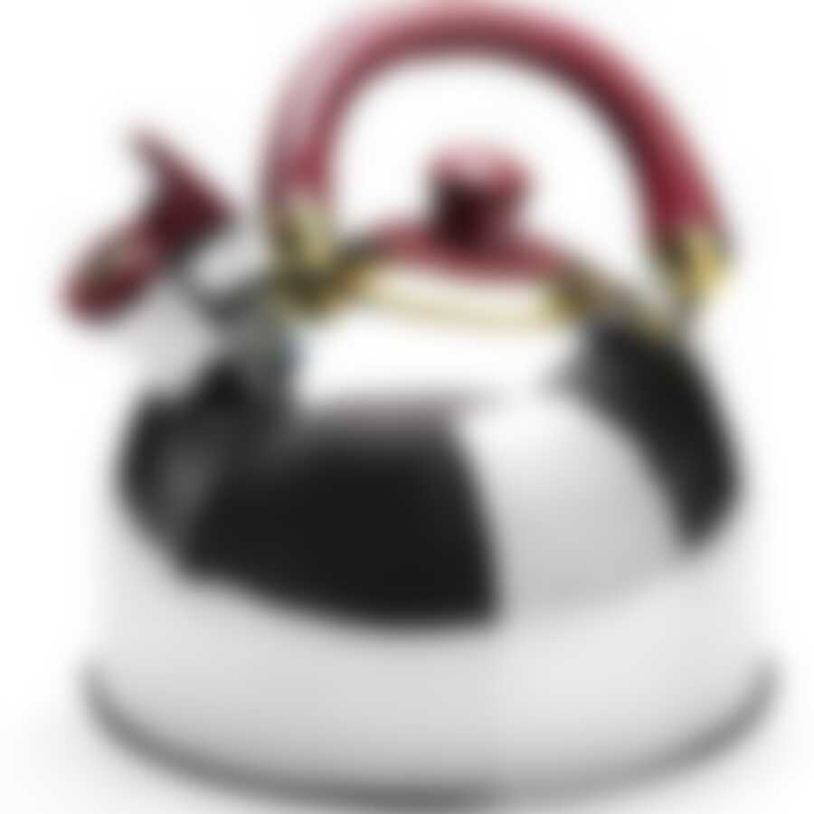 Чайник нер/сталь(4,5л) MB руч,БОРДОВАЯ(х12) 20438-1