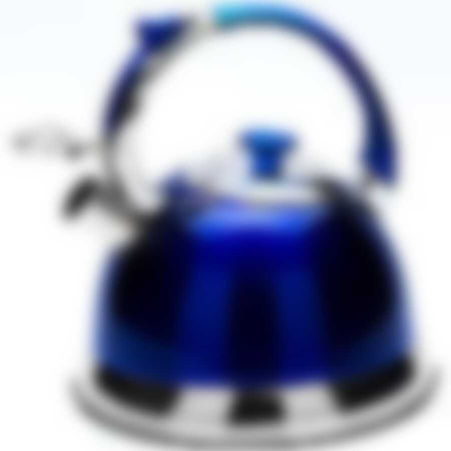 Чайник из нержавеющей стали со свистком Mayer&Boch, 2,7 л