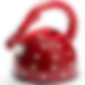 Чайник 2,5л ГОРОХ с/св нерж/корпус MB (х12) 26046