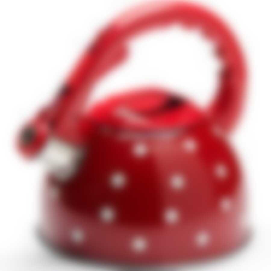 Чайник 2,5л ГОРОХ с/св нерж/корпус MB (х12) 26046