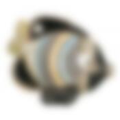 Статуэтка декоративная "РЫБА" длина 9 см