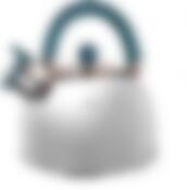 Чайник 2,5 л. "Queen Ruby" с бирюзовой ручкой