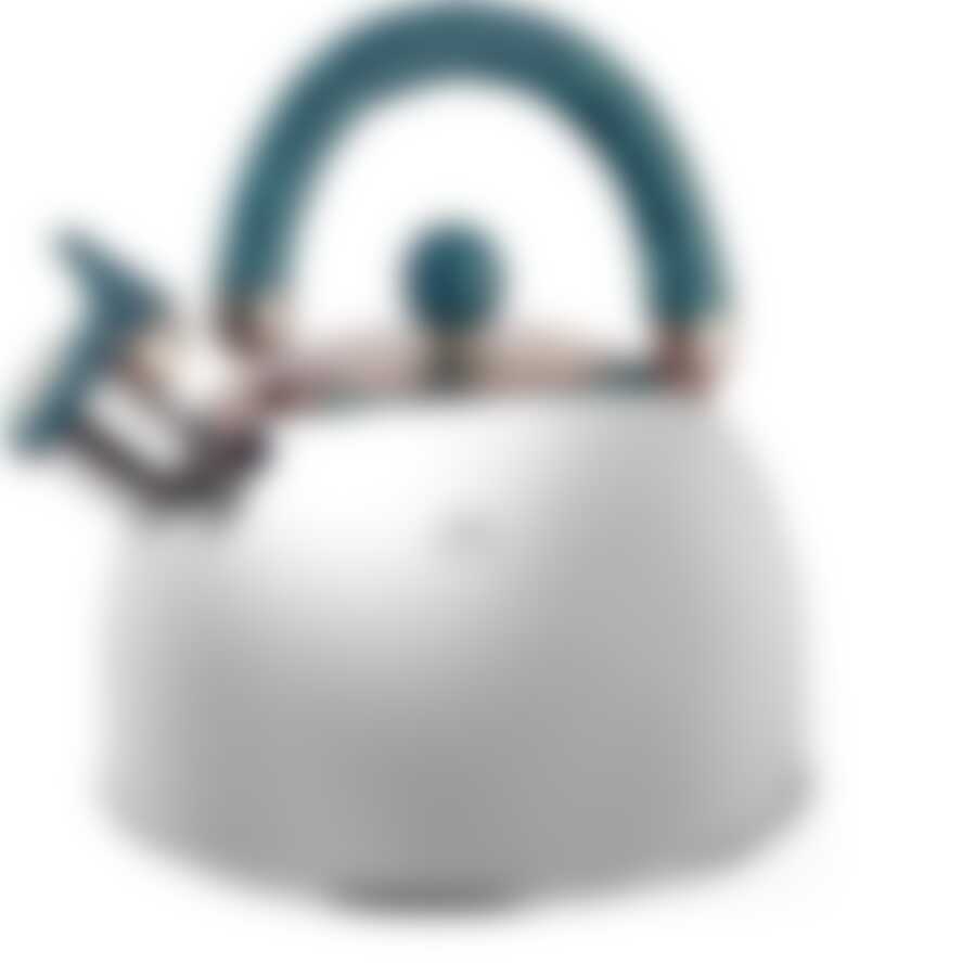 Чайник 3 л. "Queen Ruby" с бирюзовой ручкой