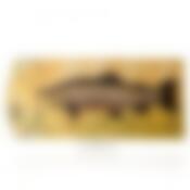 Доска сувенирная Рыбы 180*400