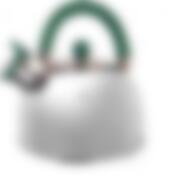 Чайник 3,5 л. "Queen Ruby" с зелёной ручкой