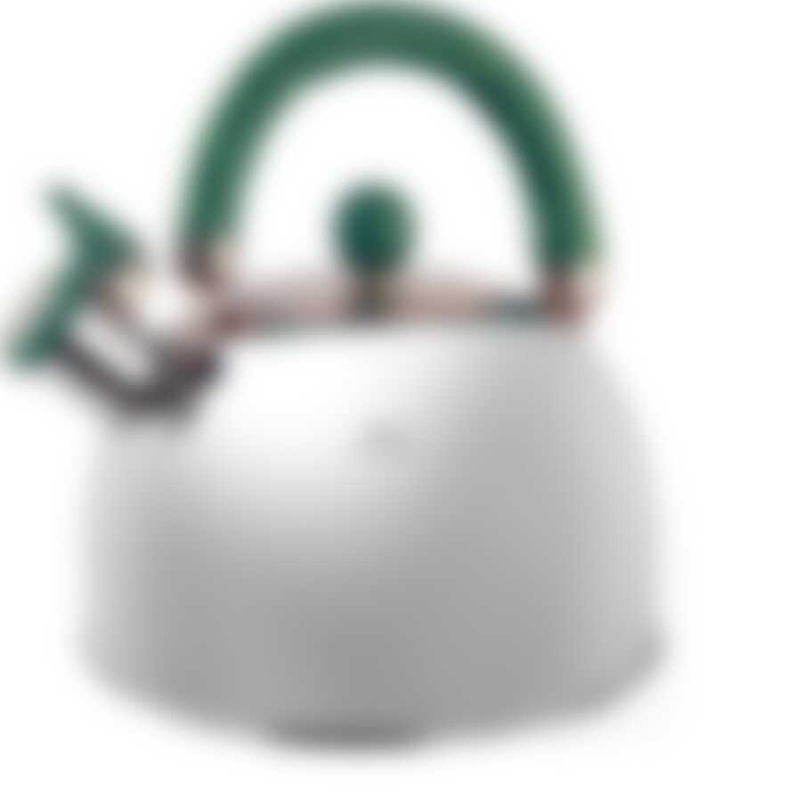 Чайник 3,5 л. "Queen Ruby" с зелёной ручкой