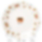 Тарелка столовая мелкая Arcopal Candice, D=25 см