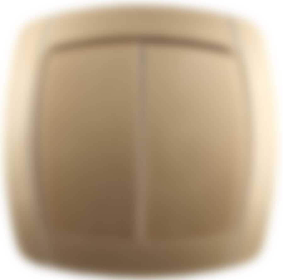 Выключатель СВЕТОЗАР "АКЦЕНТ" двухклавишный в сборе, цвет золотой металлик, 10А/~250В