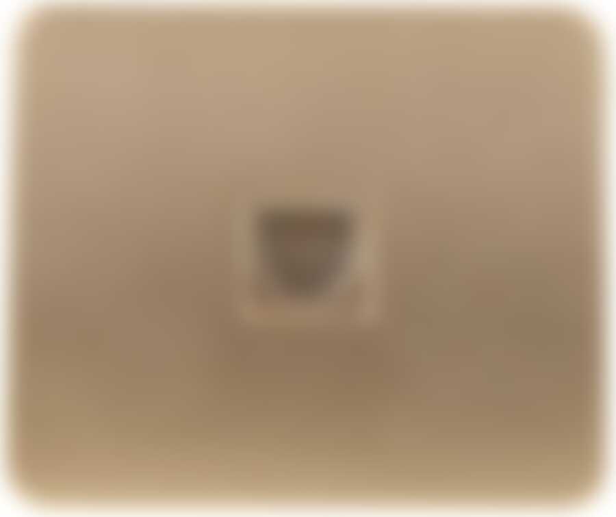 Розетка СВЕТОЗАР "ГАММА" телефонная, одинарная, без вставки и рамки, цвет золотой металлик