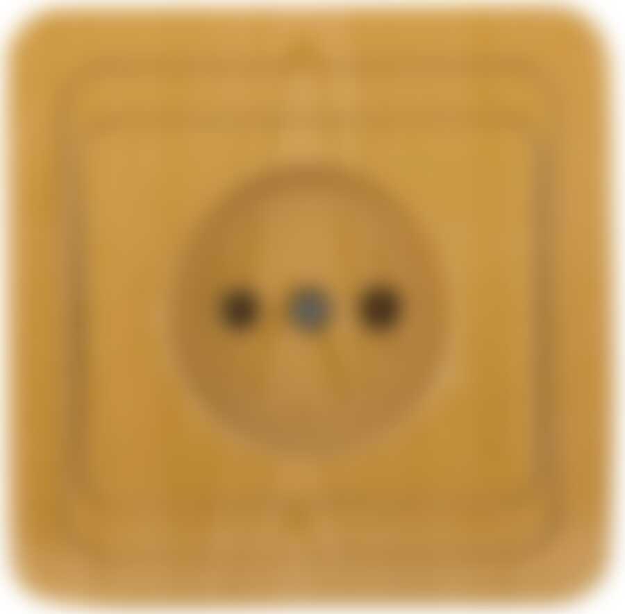 Розетка СВЕТОЗАР "ГАММА" без заземления, одинарная, цвет ольха, 16А/~250В