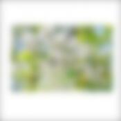 Салфетка "Вишня" 39*25см NEW