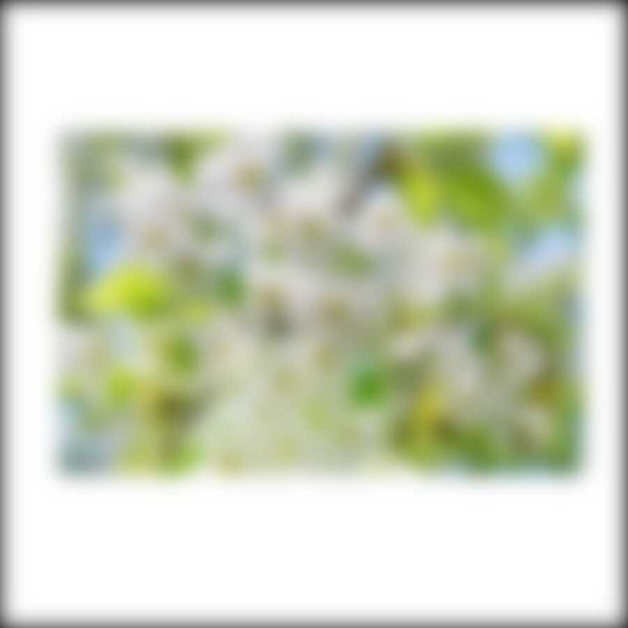 Салфетка "Вишня" 39*25см NEW