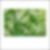 Салфетка "Черёмуха" 39*25см NEW