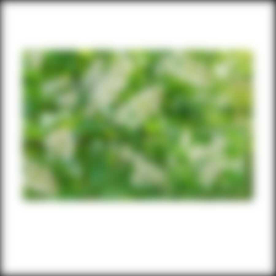 Салфетка "Черёмуха" 39*25см NEW