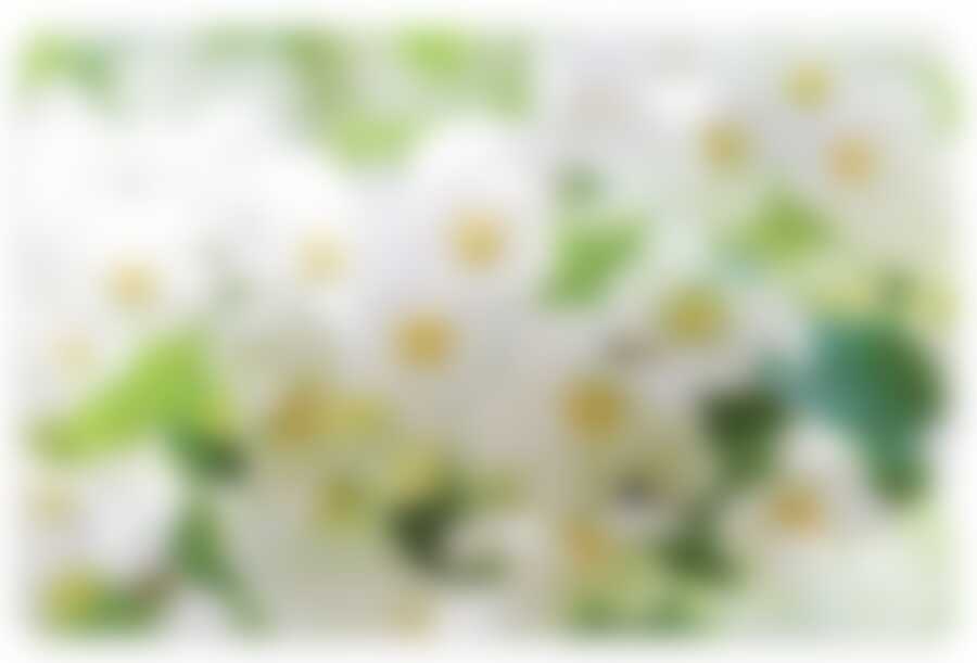 Мат на стол Fenghua "Flowers",  43.5х28 см (рисунок в ассортименте)
