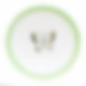 Тарелка столовая мелкая Fioretta Summer Joy Green, D=24 см