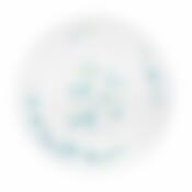 Тарелка столовая мелкая Arcopal Veronica, D=25 см