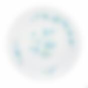 Тарелка столовая глубокая Arcopal Veronica, D=23 см