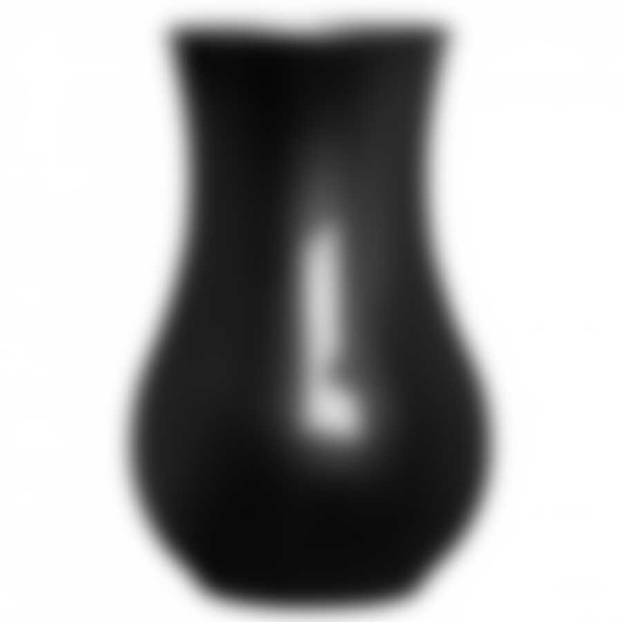 Ваза флэши колорс черная 20см