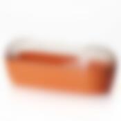 Контейнер для нарезки 250х100х95 (проз-оранж)