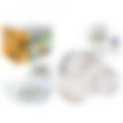 Набор столовый  38+7пр. флорайн